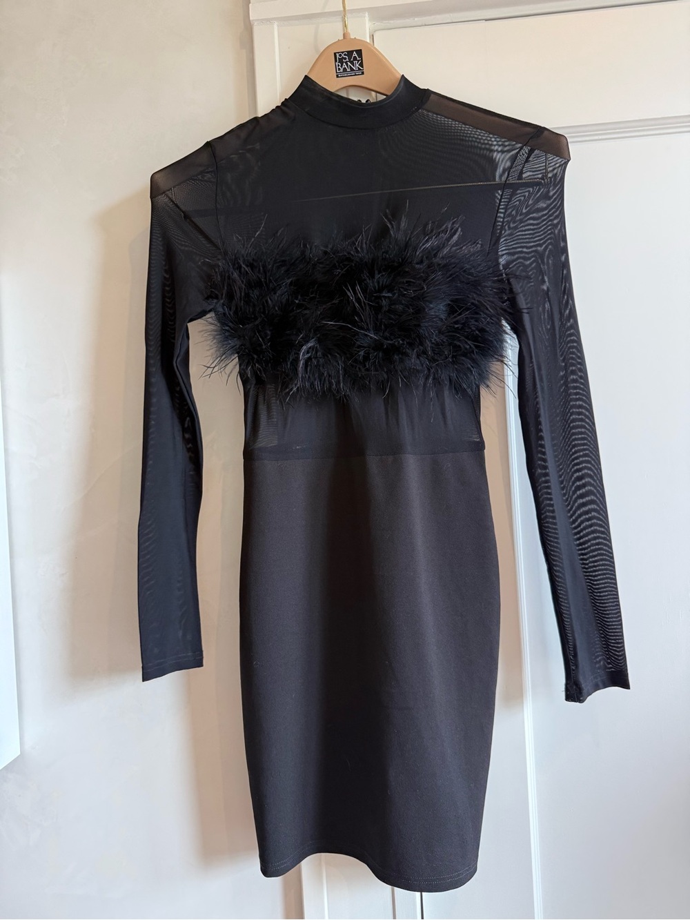 Fashion Nova Black Long-Sleeve Mesh Bodycon Dress with Feather Trim